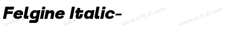 Felgine Italic字体转换